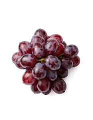 Fototapeta premium Cluster of dark purple grapes with tight cluster, tendrils reaching out. Grapes stand out against stark white background. Low-angle shot highlights grapes prominent color, freshness, ripeness.