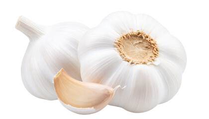 Fresh Garlic Bulb and Cloves PNG &ndash; Transparent Background Spice Illustration

