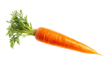 Fresh organic carrot isolated on black background