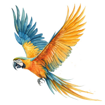 Vibrant blue and yellow macaw parrot in full flight isolated on transparent background