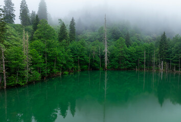 Borcka Karagol ( Black Lake ) in Artvin Province of Turkey