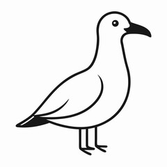 white dove isolated on white background