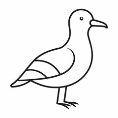 duck isolated on white background