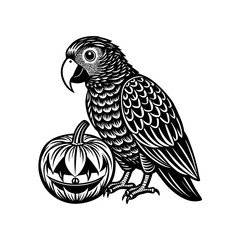 Detailed black and white illustration of a parrot standing beside a carved Halloween jack-o'-lantern.