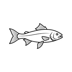 Outline of a fish in black and white drawing style  isolated on transparent background