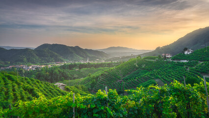 Prosecco Hills, vineyards and Guia village at sunset. Valdobbiadene, Veneto, Italy