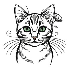 Obraz premium Artistic sketch of a tabby cat s face with a flower behind its ear and unique whiskers