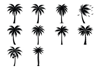 Fototapeta premium Collection of palm tree silhouettes isolated on white background