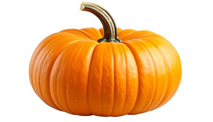 Obraz premium Single, whole, orange pumpkin