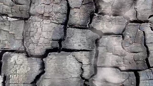 rough and cracked surface texture of black charcoal from burnt wooden planks with white smoke effect