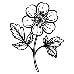  cinquefoil line art vector  on white background