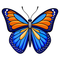 blue and orange butterfly vector