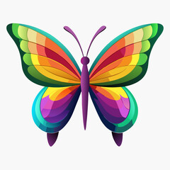 colorful butterfly vector 