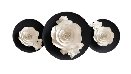 Three circular, black-backed, decorative plates showcasing large, detailed, off-white flowers, arranged in a horizontal row