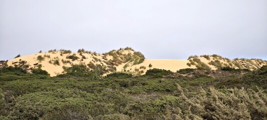 Düne in der Algarve