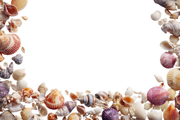 Seashell border against black background.  A multitude of colorful seashells, various shapes and sizes, forms a frame around a completely black center.  Natural, ocean, marine