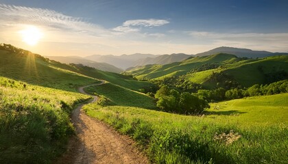 Fototapeta premium a winding dirt pathway meanders through lush verdant hills embodying the spirit of exploration and adventure in a tranquil natural landscape bathed in soft sunlight