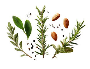 Close-up of sprigs of rosemary, sage, and other herbs, with almonds and peppercorns scattered amongst them