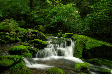 장전이깨계곡, 이끼폭포