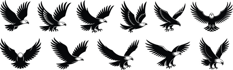 Obraz premium Eagle silhouette set, flying poses, black and white vector illustration, majestic bird of prey, dynamic wingspan, wildlife concept art