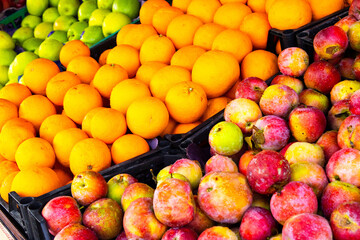 A Colorful Display of Fresh Fruits at a Market
