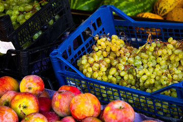 A Colorful Display of Fresh Fruits at a Market