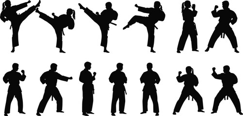 Martial arts silhouettes in dynamic poses, high kicks, stances, self-defense concept, combat training, discipline, vector illustration, action