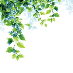 Fototapeta premium Lush green leaves cascading downwards