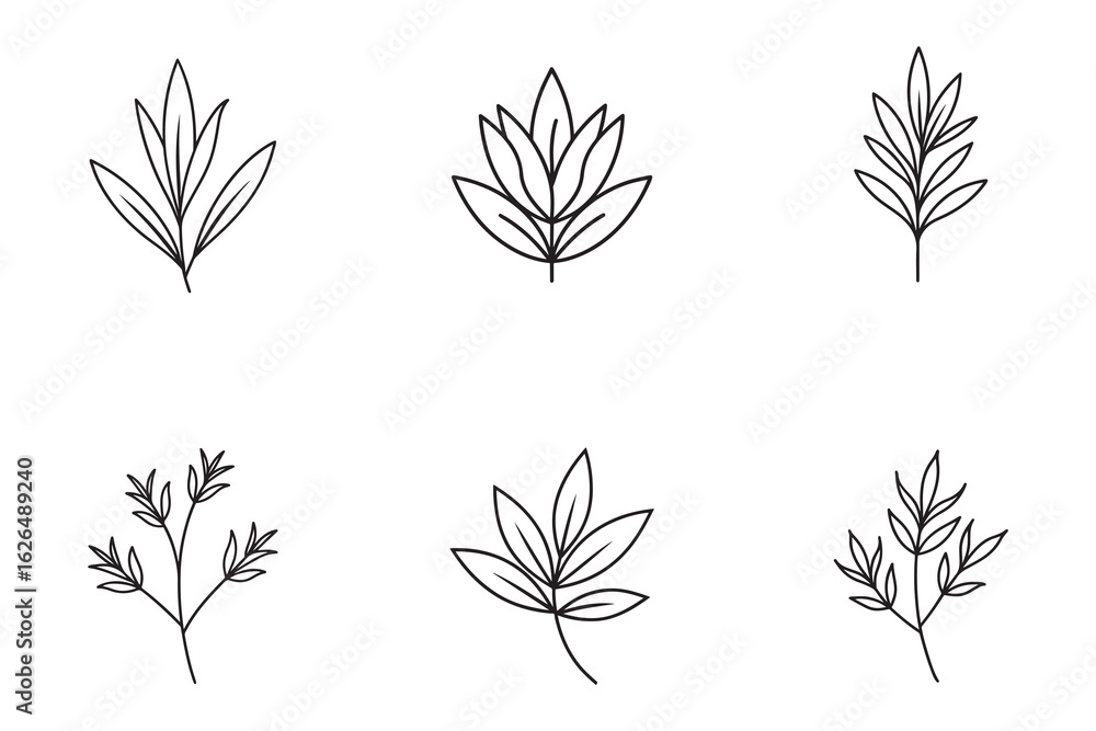 Poster elegant minimalist botanical line art illustration of various leaf and branch designs for graphic el