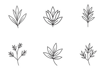 Obraz premium Elegant minimalist botanical line art illustration of various leaf and branch designs for graphic elements and design projects