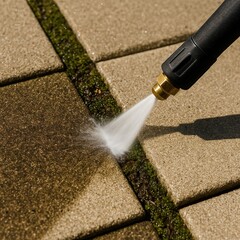 Pressure Washing Moss Covered Stone Path Mid Clean