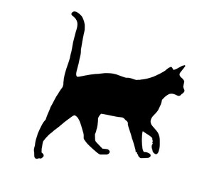 Classic Silhouette of a Sitting Feline


