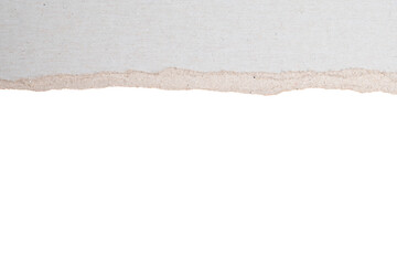 Torn paper edge with transparent background
