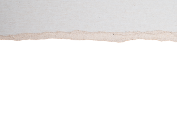 Torn paper edge with transparent background
