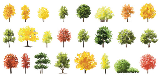 Vertor set of autumn tree,plants side view for landscape elevation and section,eco environment concept design,watercolor ginkgo tree illustration,colorfull,green tree,maple