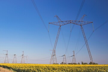 High voltage power transmission towers and power lines in a field of sunflowers under a blue sky. Power industry. Beautiful landscape.