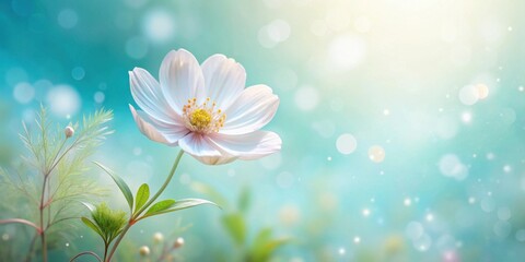 A single delicate white blossom, bathed in soft sunlight, stands elegantly against a dreamy, light teal backdrop, subtly adorned with bokeh effects, creating a serene and peaceful ambiance.