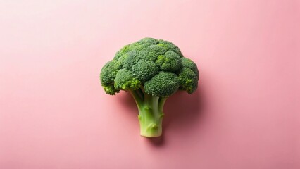A Single Head of Fresh Broccoli on a Pink Background, Representing Healthy Eating and Vibrant Nutrition