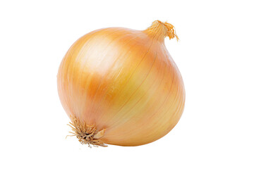 Whole yellow onion isolated on white transparent background