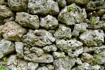 古い石垣　石垣島フルスト原遺跡　沖縄