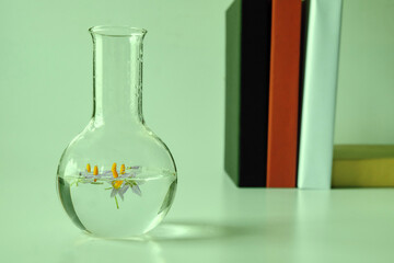 Plant science laboratory research in test tube.medicine biotechnology .