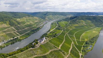 green vineyards in the German Moselle river region. Wine production Riesling, Marienburg, church, Zell, Germany.