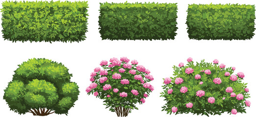 Cartoon green hedges and flowering pink bushes collection, trimmed garden plants and decorative landscape foliage for outdoor nature illustrations