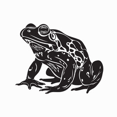 Black and White African Bullfrog Vector Design Amphibian Animal Illustration
