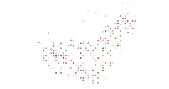 United Arab Emirates Outline with Dot Motion