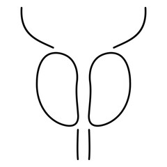 prostatitis icon isolated on white background, vector illustration.