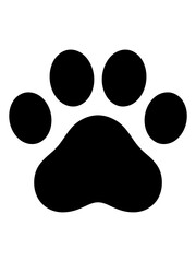 Cat Paw Icon