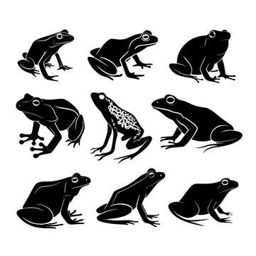 The illustration is modern and features frogs as black silhouettes that are isolated on a white background