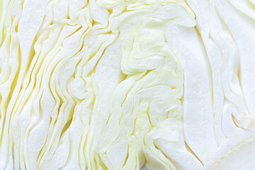 Macro shot of the cabbage,White cabbage in section. Cut cabbage. Light leaves of early cabbage.