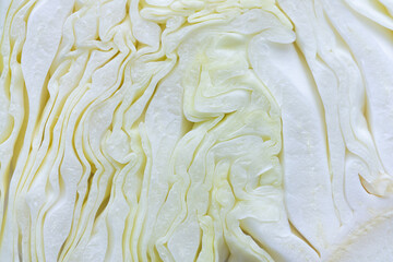 Macro shot of the cabbage,White cabbage in section. Cut cabbage. Light leaves of early cabbage.